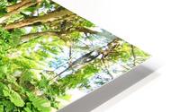 Nevis GR10 HD Metal print