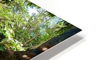 Nevis GR5 HD Metal print
