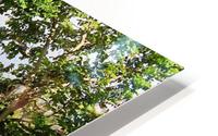 Nevis GR1 HD Metal print
