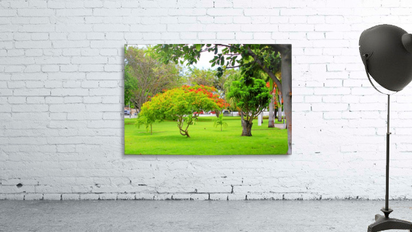 St Kitts Independence Square Wall Preview