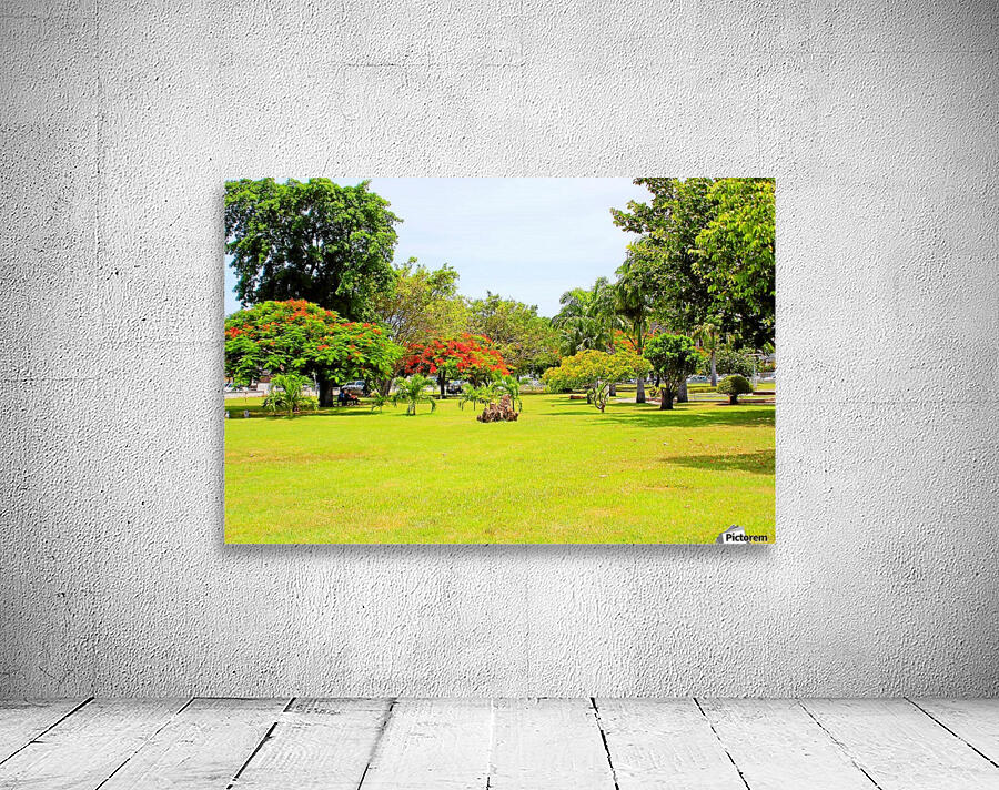 St Kitts Independence Square 4 Wall Preview