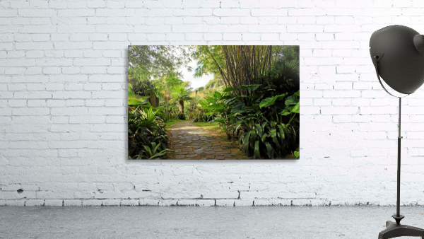 Nevis GR8 Wall Preview