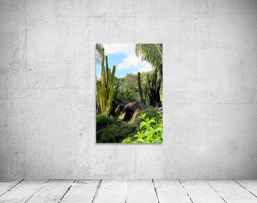 Nevis cactus Wall Preview