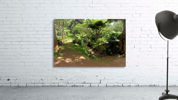 Nevis GR5 Wall Preview