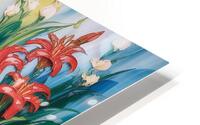 Hidden Oasis HD Metal print