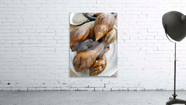 Forest snails Ghana Wall Preview