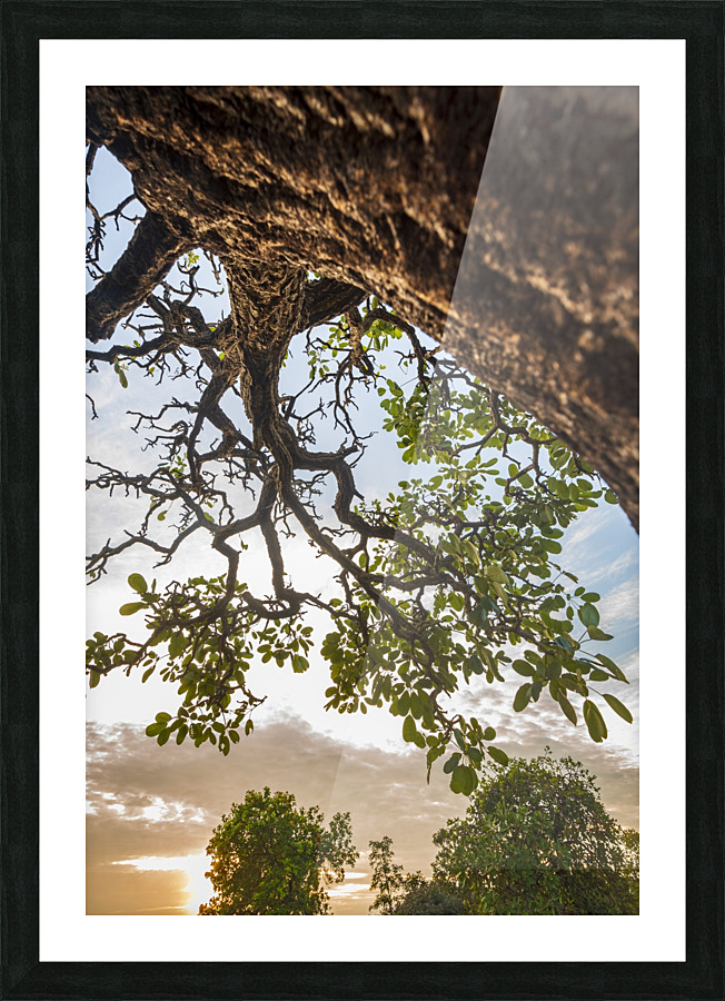 Resilience - Blessing Picture Frame print