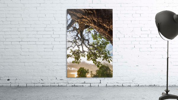 Resilience - Blessing Wall Preview