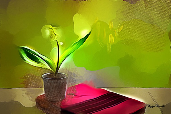 Words and Growth Téléchargement Numérique