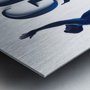 God Can   Metal print