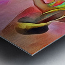 soul sisters Impression metal