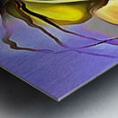 coconut delight Impression metal