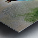 Curiosity Metal print