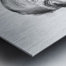 Joseph Lowery Metal print