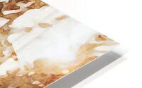 B1 5 HD Metal print