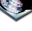 Braineeez 640 Acrylic print