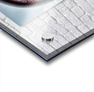 Braineeez 991 Acrylic print