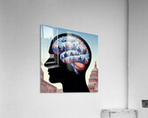 Braineeez 640 Acrylic Print