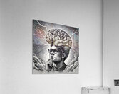 Braineeez 4026 Acrylic Print