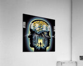 Braineeez 873 Acrylic Print