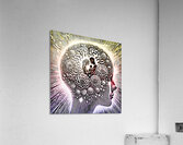 Braineeez 2055 Acrylic Print