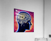 Braineeez 2111 Acrylic Print