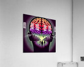 Braineeez 883 Acrylic Print