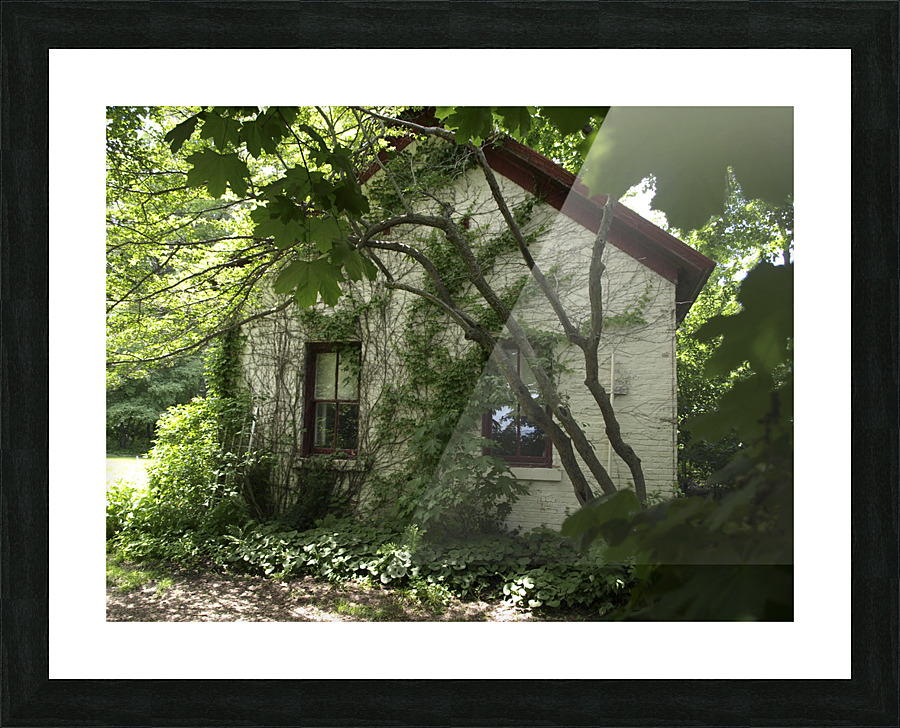  Fine Art print