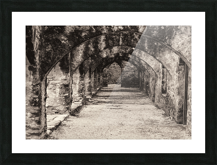  Fine Art print