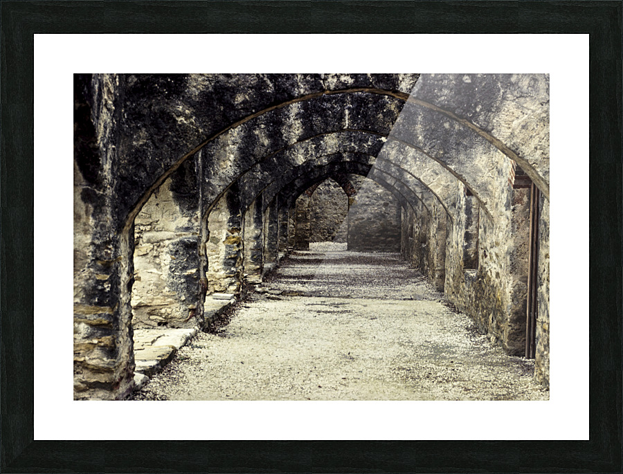  Fine Art print