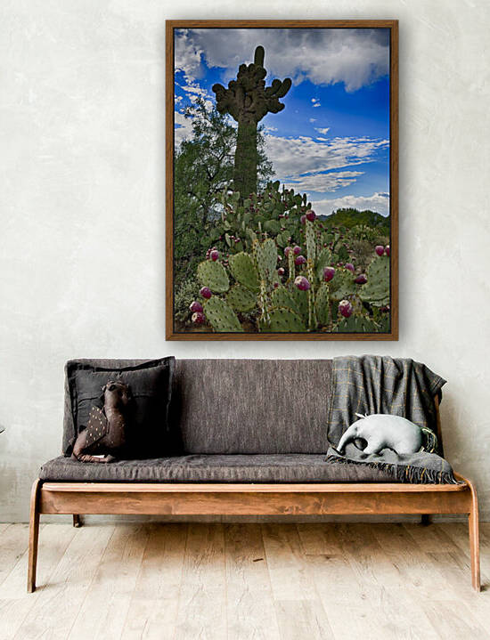 Saguaro and Prickly Pear by Charnesky Photography