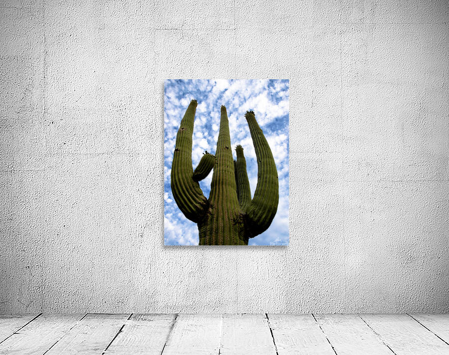Reaching For The Sky Wall Preview