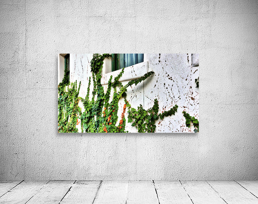 Green Wall Preview