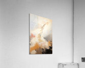 Ascension Acrylic Print
