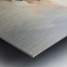 Ascension Metal print