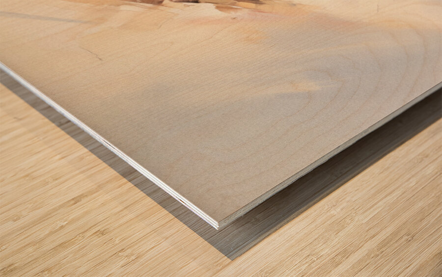 Ascension Wood print