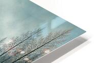 Three Birds HD Metal print