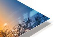 Vienna cityscape reflection HD Metal print