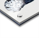 Burned III Acrylic print