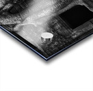 Angkor Wat Temple Complex III Acrylic print