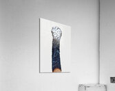 Burned III Acrylic Print