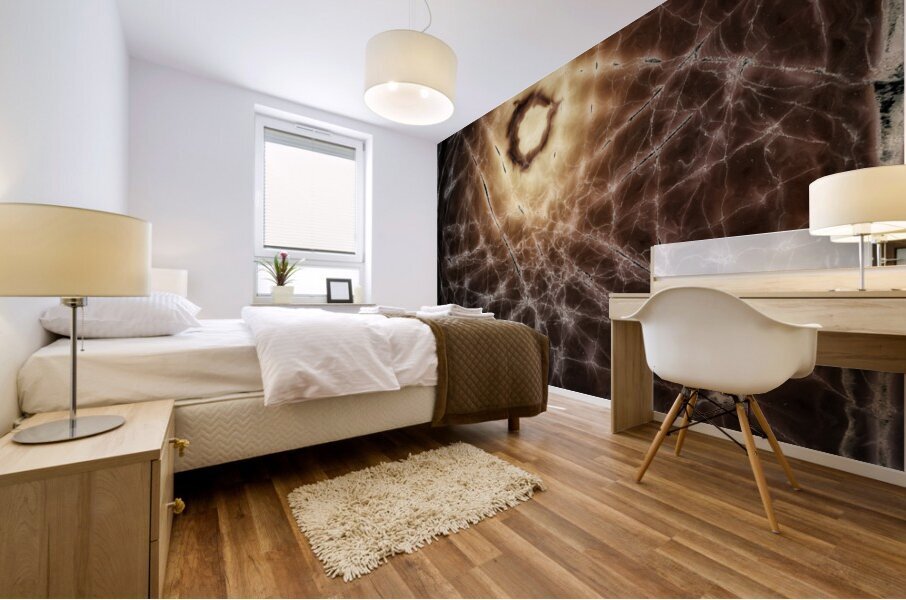 Untitled II Polaroid manipulation Mural print