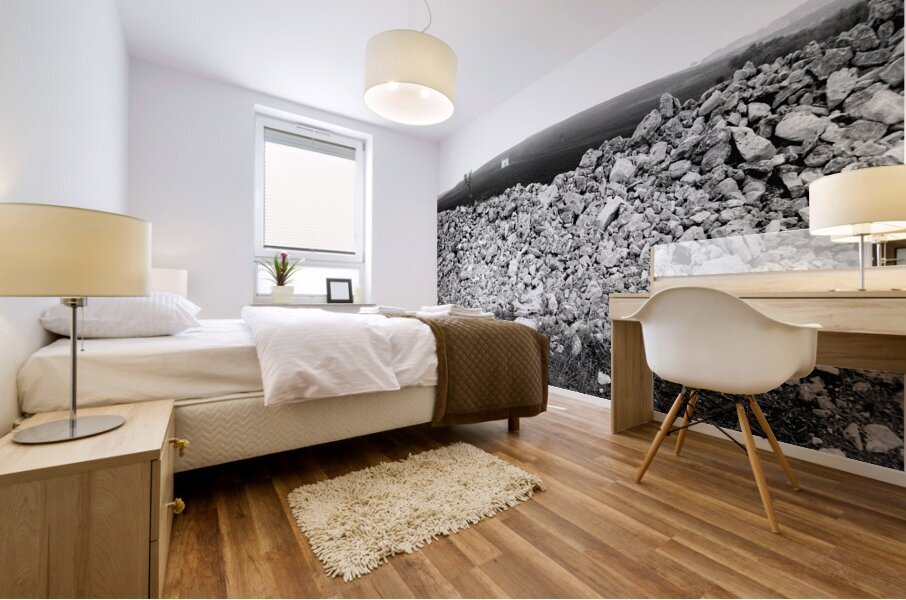 Matera Wall Mural print