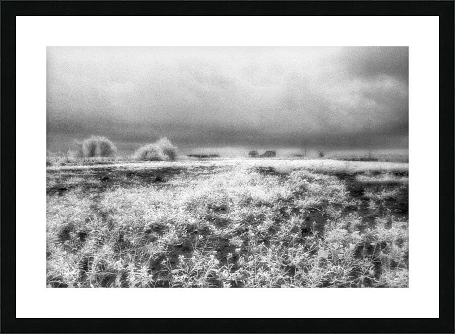 Barn In Field Infrared Picture Frame print