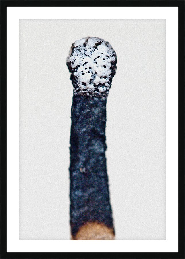 Burned III Picture Frame print