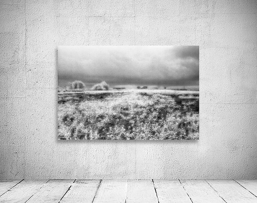 Barn In Field Infrared Wall Preview