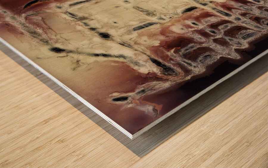 Untitled I Polaroid manipulation Wood print