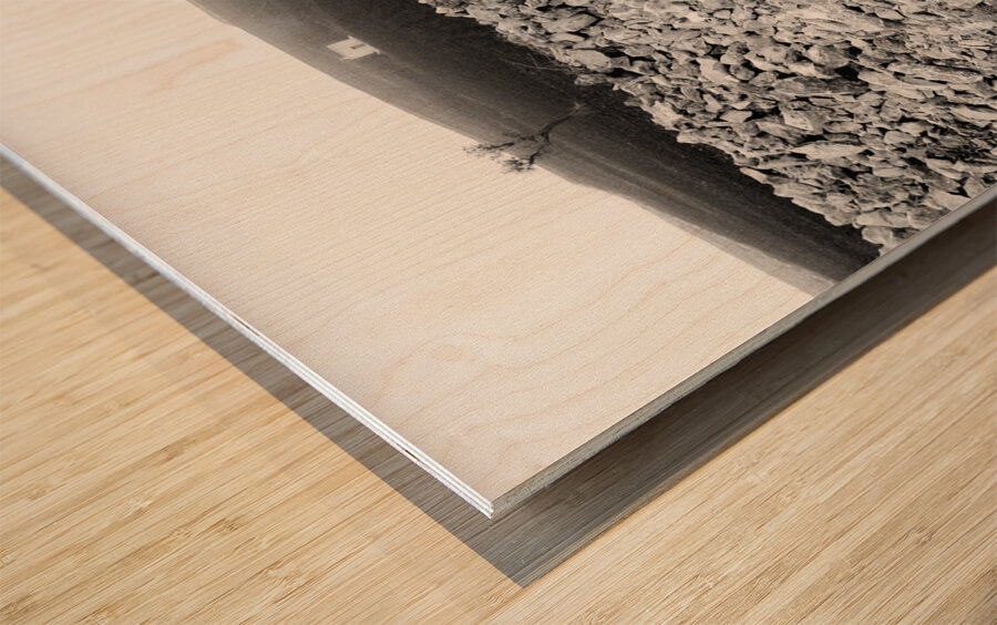 Matera Wall Wood print