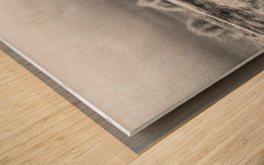 Barn In Field Infrared Wood print