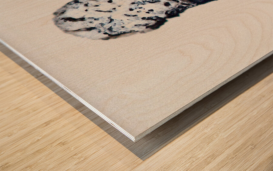 Burned III Wood print